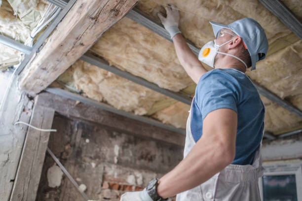 Best Eco-Friendly Insulation in Porters Neck, NC