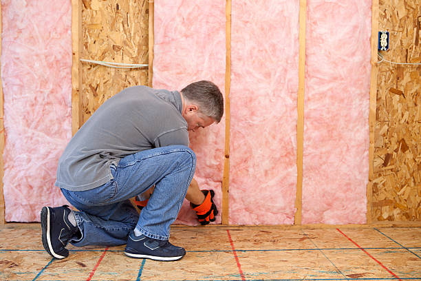 Best Fiberglass Insulation in Porters Neck, NC