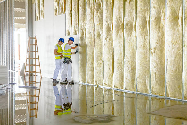 Types of Insulation We Offer in Porters Neck, NC